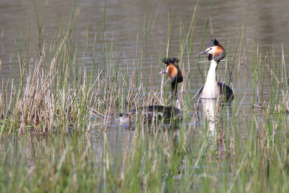 Joël ALLAIN Photographies